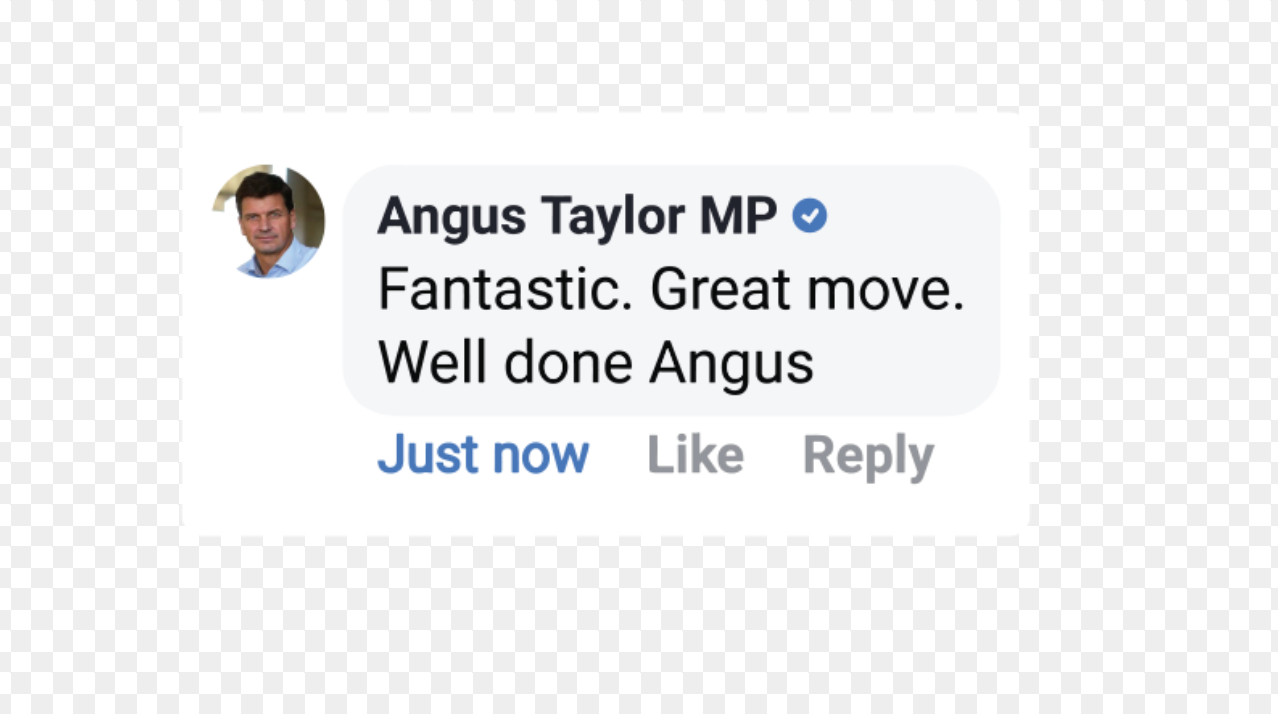 Angus Taylor (Bumper Stickers) 4 Pk